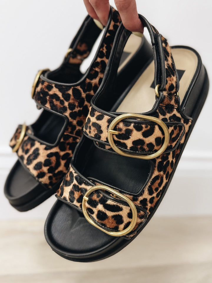 Dolce Vita Starla Sandals - Leopard Black