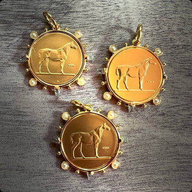 Ring Ready Dressage