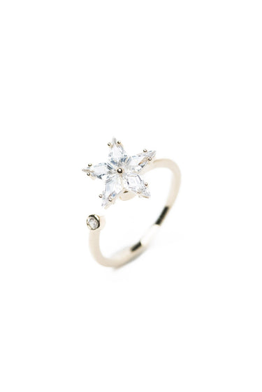 True North Ring - By Alexa Rae