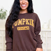Pumpkin Season Sweatshirt- 2 Colors!