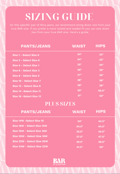 The Vanna By Mica - High Rise Wide Leg Jeans