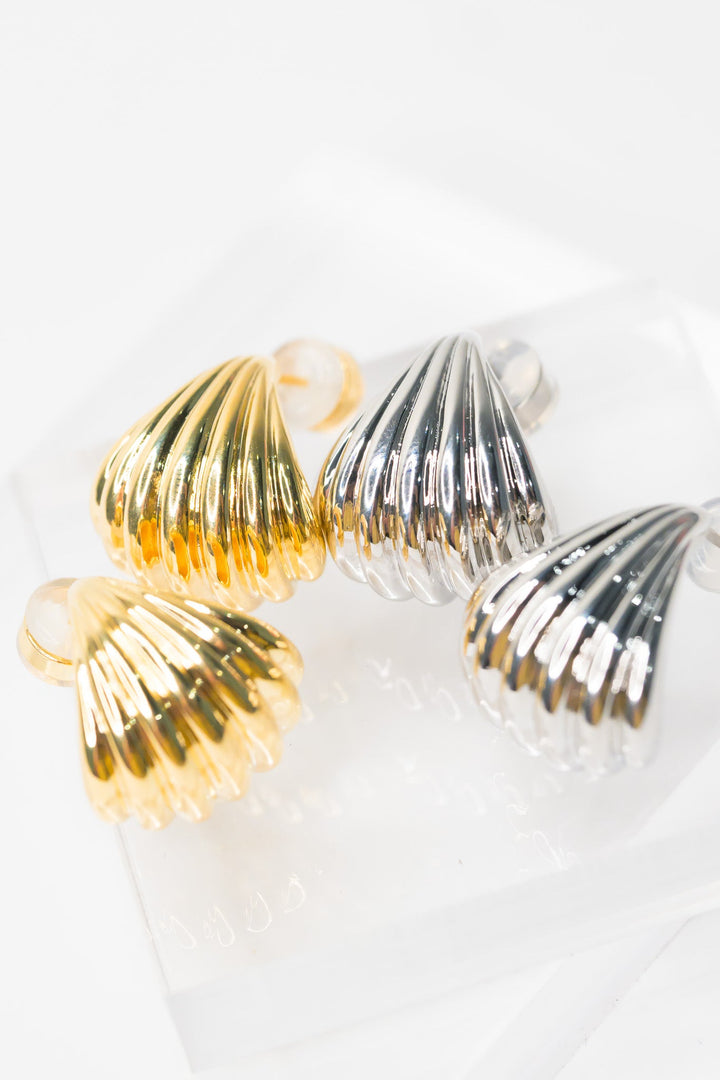 Seashell Earrings