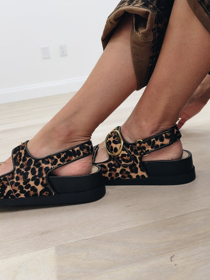 Dolce Vita Starla Sandals - Leopard Black