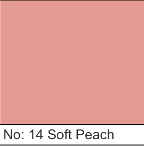 Golden Rose Powder Blush - 5 Colors!
