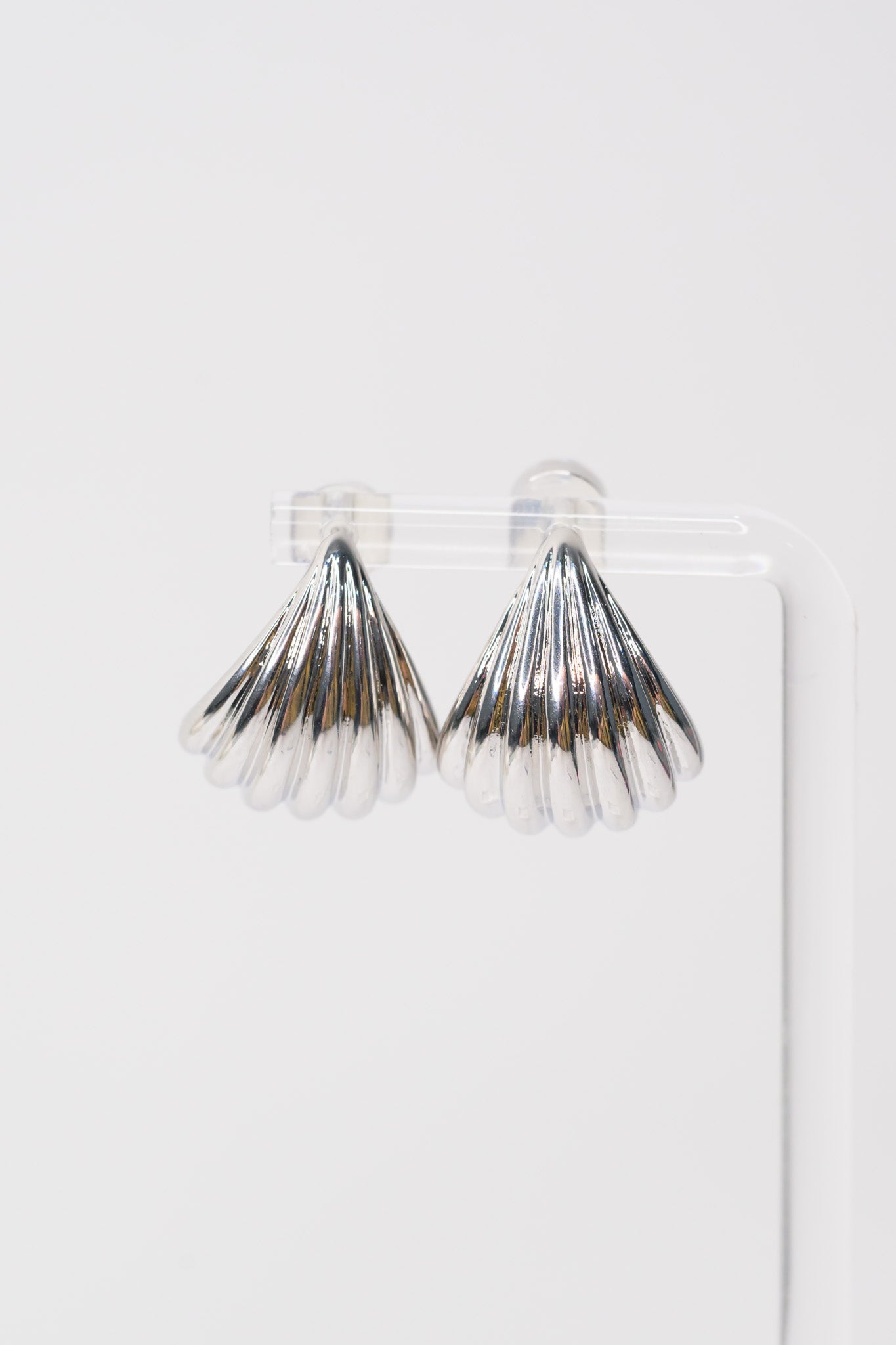 Seashell Earrings