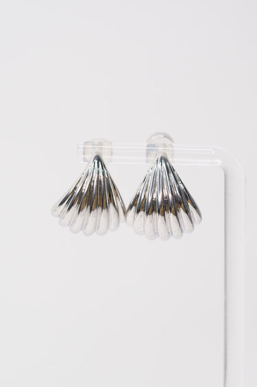 Seashell Earrings