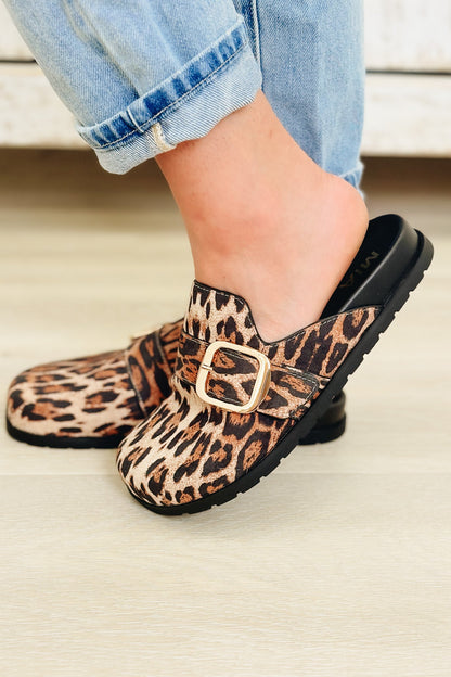 MIA Gilia Flats - Leopard