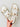 Bickley Dual Band Flat Sandals - Ivory