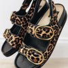 Dolce Vita Starla Sandals - Leopard Black