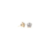 Bloom Belle Earrings