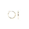Kensie Earrings