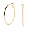 Frost Whisper Earrings - Gold