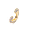 Everlove Ear Cuff