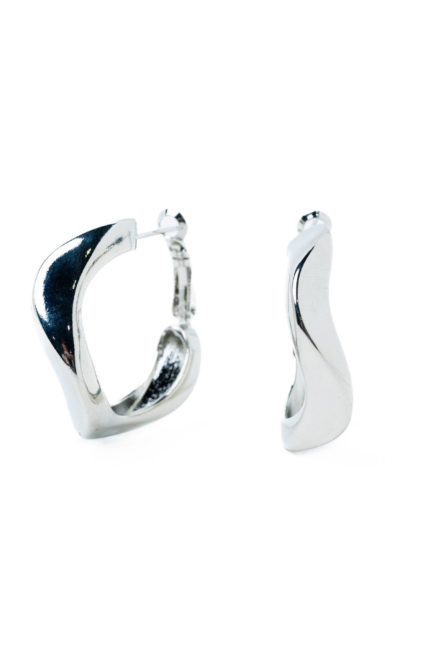 Raven Earrings