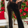 Moon Shine Velvet Pants