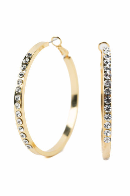 Hooked Earrings