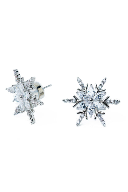 Valley Winter Earrings