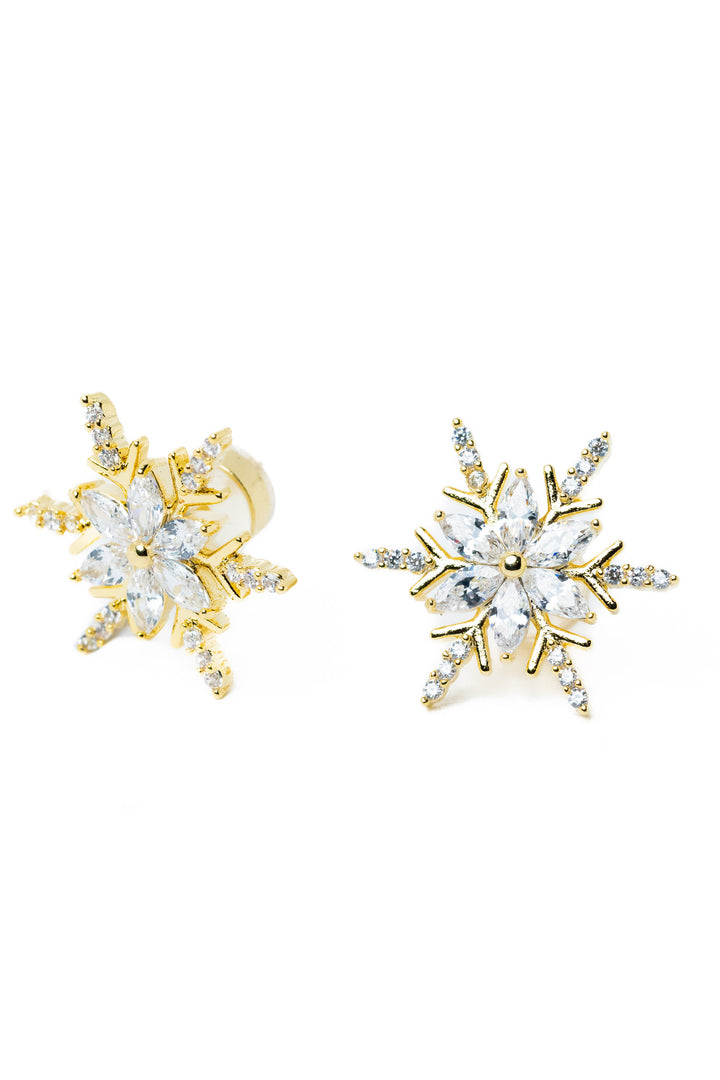 Valley Winter Earrings