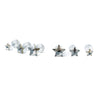 Star Blaze Earrings Set - Silver Champagne