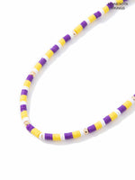 MINNESOTA VIKINGS