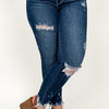 Judy Blue Cotton Candy Mid Rise Destroyed Skinny Jean