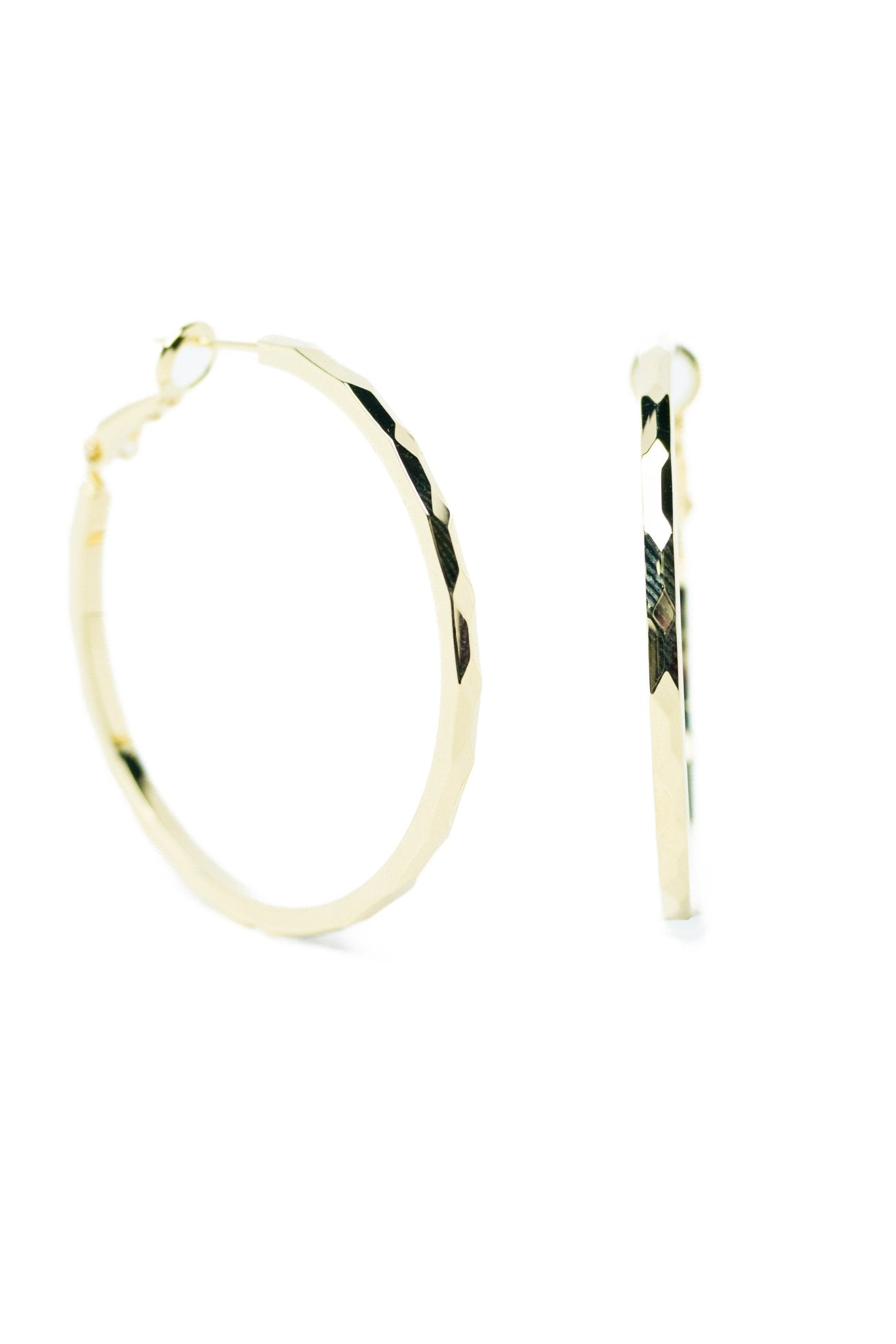 Bare Hoops Earrings - By Alexa Rae