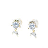 Celtic Ice Earrings