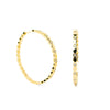 Dakota Earrings
