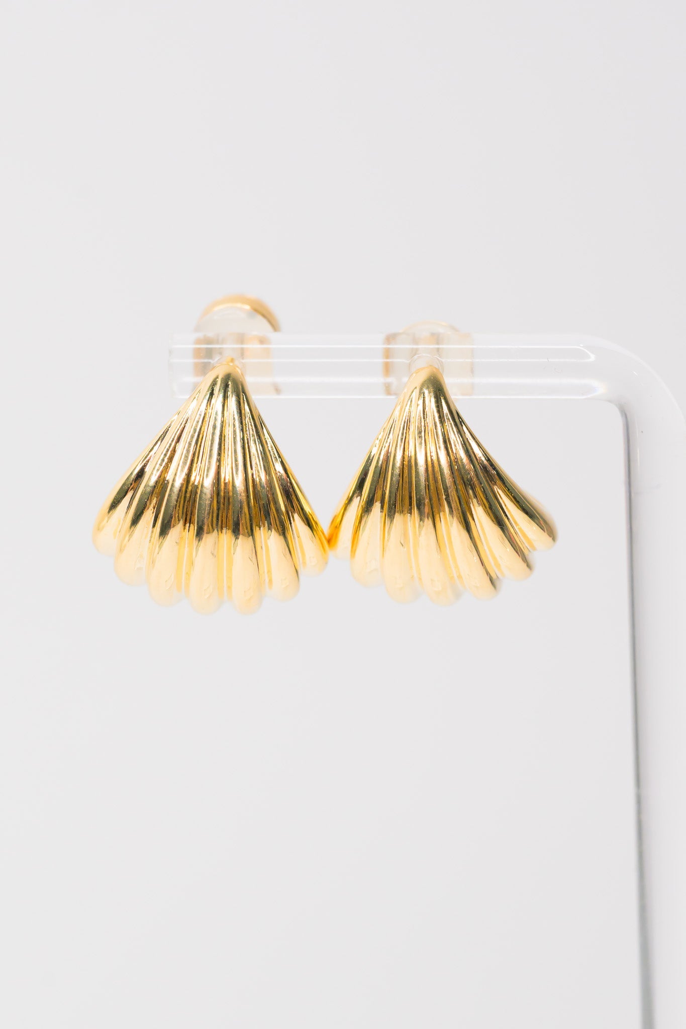 Seashell Earrings
