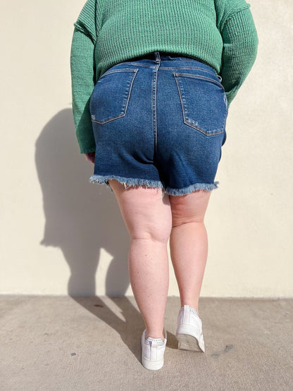 Judy Blue Here Comes The Sun High Rise Rigid Magic Frayed Hem Shorts