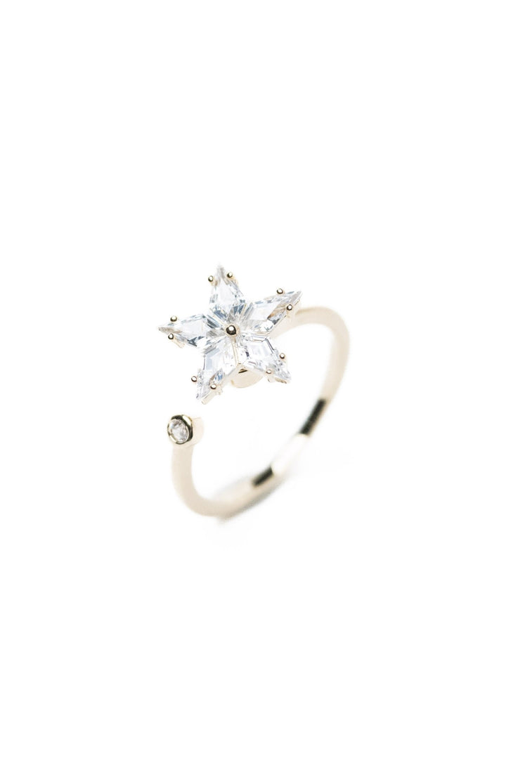 True North Ring - By Alexa Rae