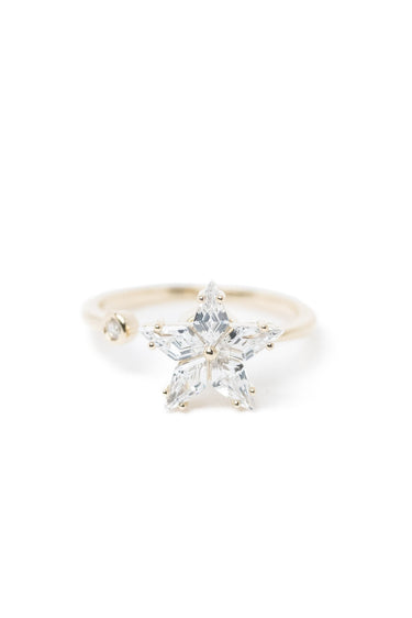 True North Ring - By Alexa Rae