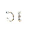 Zadie Earrings - Siver Gold